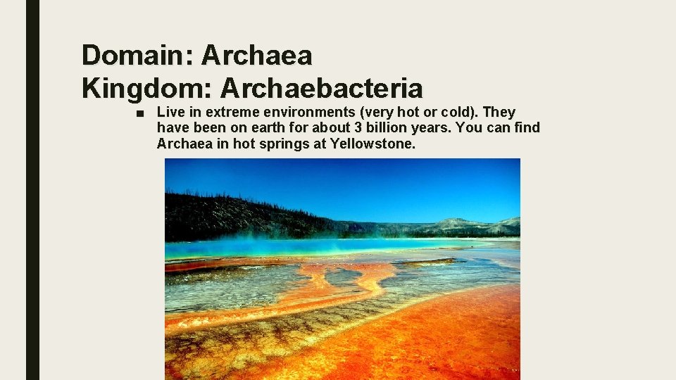 Domain: Archaea Kingdom: Archaebacteria ■ Live in extreme environments (very hot or cold). They