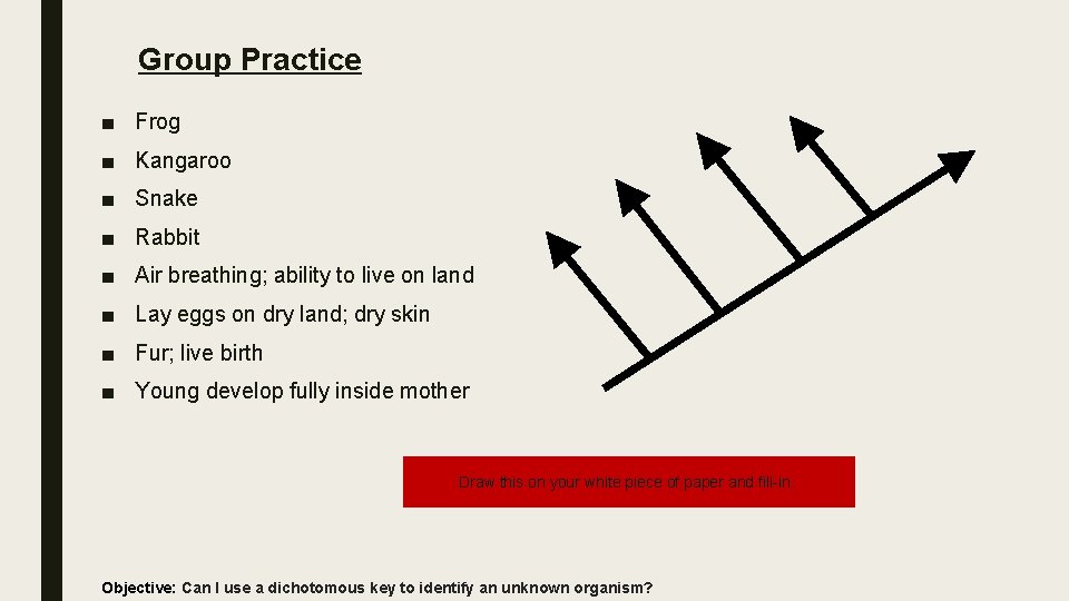 Group Practice ■ Frog ■ Kangaroo ■ Snake ■ Rabbit ■ Air breathing; ability