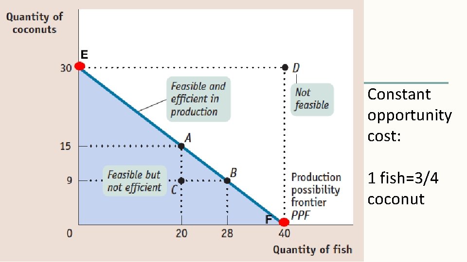 Constant opportunity cost: 1 fish=3/4 coconut 
