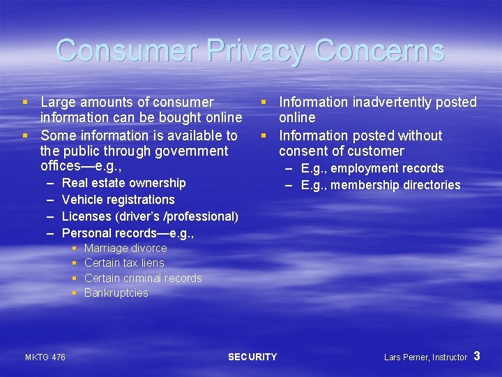 Consumer Privacy Concerns § Large amounts of consumer information can be bought online §