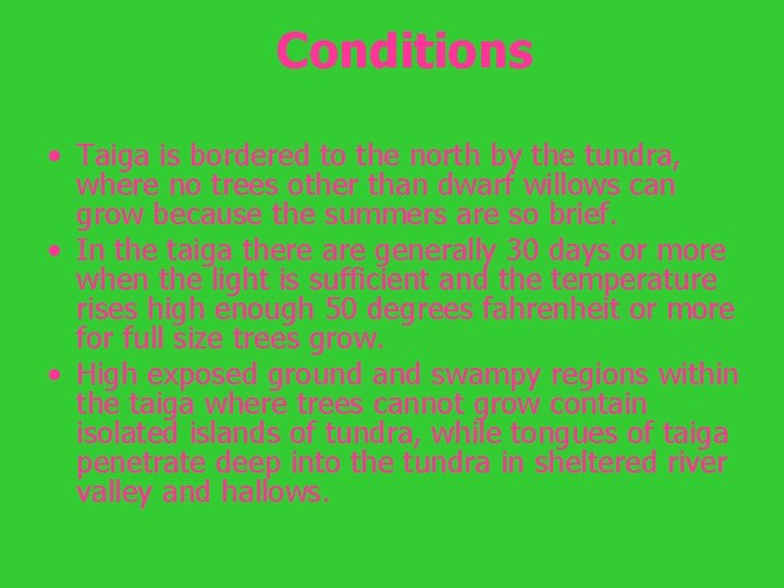 Conditions • Taiga is bordered to the north by the tundra, where no trees