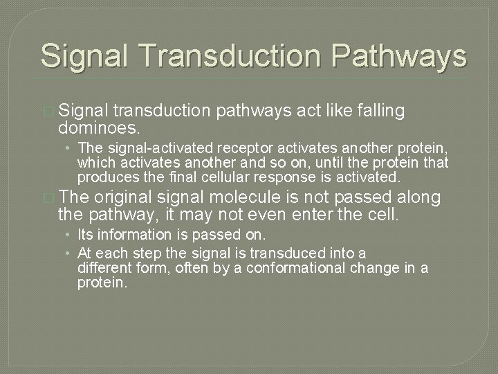 Signal Transduction Pathways � Signal transduction pathways act like falling dominoes. • The signal-activated
