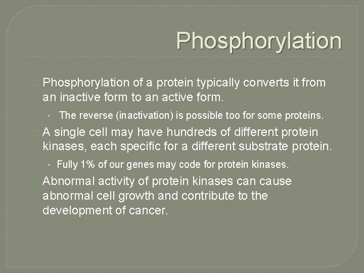Phosphorylation � Phosphorylation of a protein typically converts it from an inactive form to