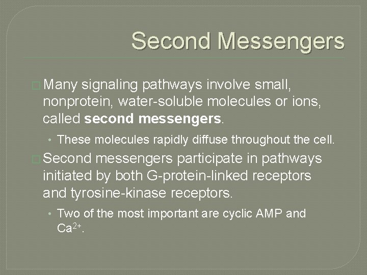 Second Messengers � Many signaling pathways involve small, nonprotein, water-soluble molecules or ions, called