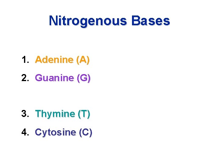 Nitrogenous Bases • PURINES 1. Adenine (A) 2. Guanine (G) • PYRIMIDINES 3. Thymine