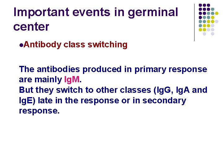 Important events in germinal center l. Antibody class switching The antibodies produced in primary