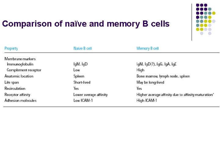 Comparison of naïve and memory B cells 