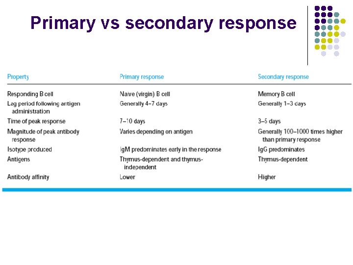Primary vs secondary response 