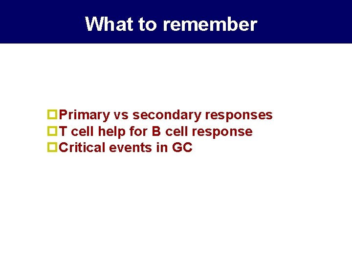 What to remember p. Primary vs secondary responses p. T cell help for B