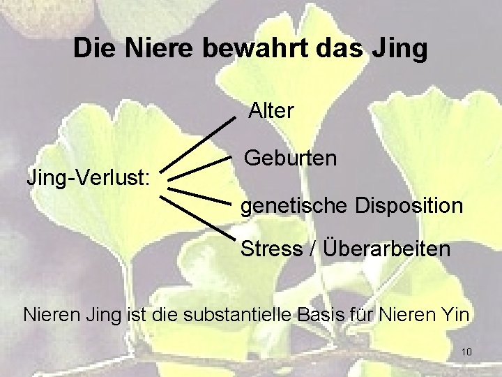 Die Niere bewahrt das Jing Alter Jing-Verlust: Geburten genetische Disposition Stress / Überarbeiten Nieren