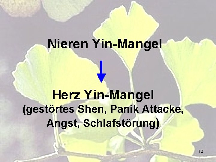 Nieren Yin-Mangel Herz Yin-Mangel (gestörtes Shen, Panik Attacke, Angst, Schlafstörung) 12 