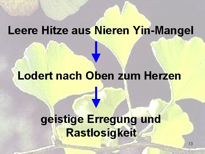 Leere Hitze aus Nieren Yin-Mangel Lodert nach Oben zum Herzen geistige Erregung und Rastlosigkeit