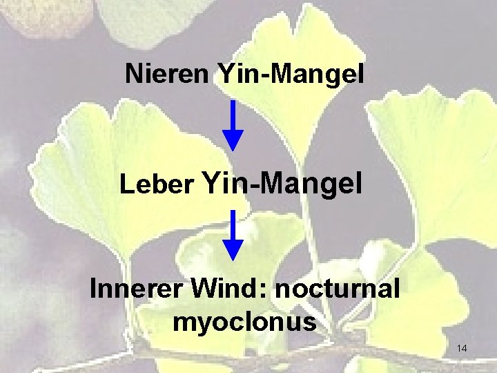 Nieren Yin-Mangel Leber Yin-Mangel Innerer Wind: nocturnal myoclonus 14 