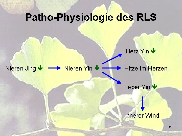 Patho-Physiologie des RLS Herz Yin Nieren Jing Nieren Yin Hitze im Herzen Leber Yin