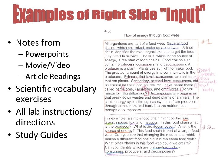  • Notes from – Powerpoints – Movie/Video – Article Readings • Scientific vocabulary