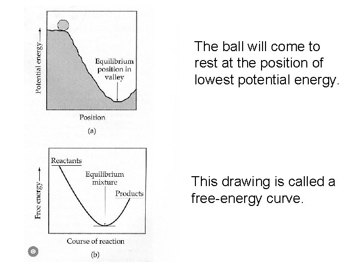 The ball will come to rest at the position of lowest potential energy. A