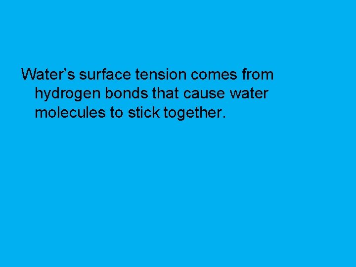 Water’s surface tension comes from hydrogen bonds that cause water molecules to stick together.