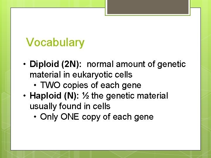 Vocabulary • Diploid (2 N): normal amount of genetic material in eukaryotic cells •