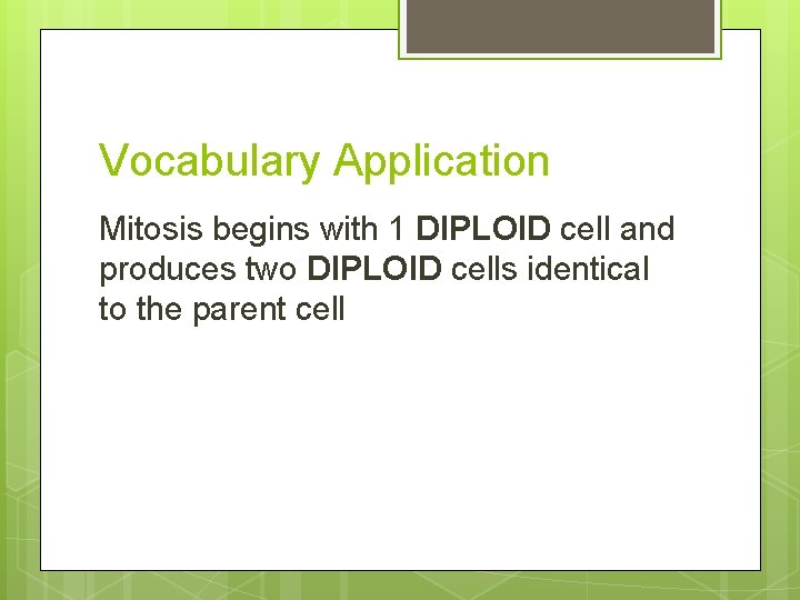 Vocabulary Application Mitosis begins with 1 DIPLOID cell and produces two DIPLOID cells identical