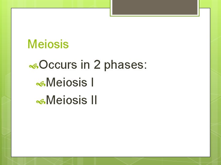 Meiosis Occurs in 2 phases: Meiosis II 