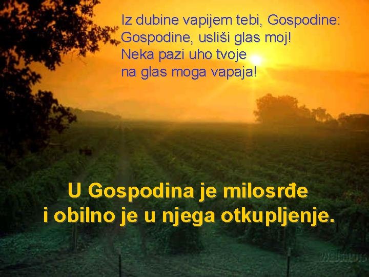 Iz dubine vapijem tebi, Gospodine: Gospodine, usliši glas moj! Neka pazi uho tvoje na