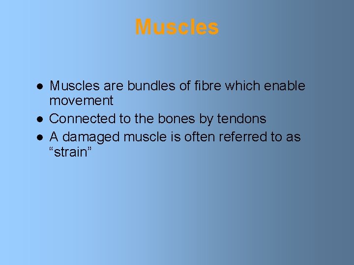 Muscles l l l Muscles are bundles of fibre which enable movement Connected to