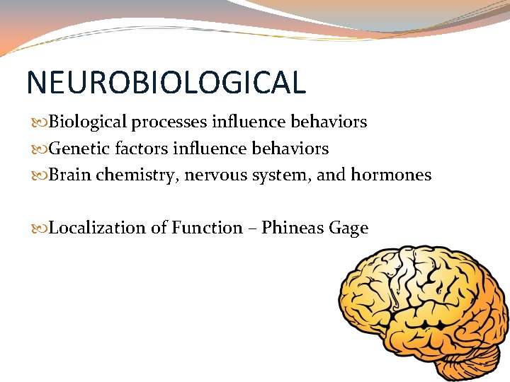 NEUROBIOLOGICAL Biological processes influence behaviors Genetic factors influence behaviors Brain chemistry, nervous system, and