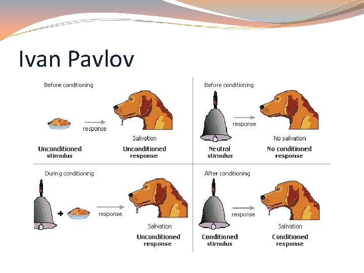 Ivan Pavlov 