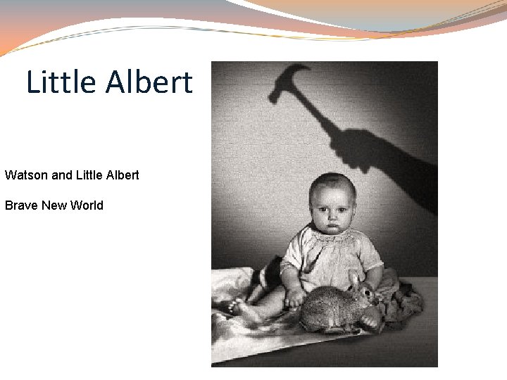 Little Albert Watson and Little Albert Brave New World 