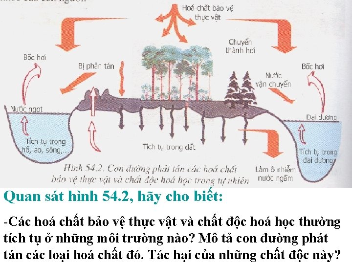 Quan sát hình 54. 2, hãy cho biết: -Các hoá chất bảo vệ thực