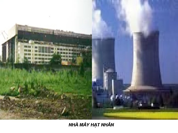NHÀ MÁY HẠT NH N 