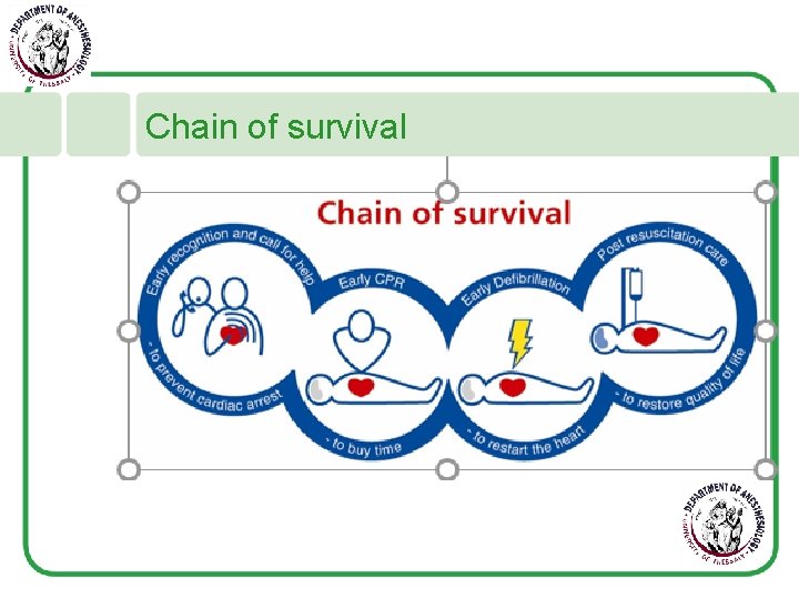 Chain of survival 