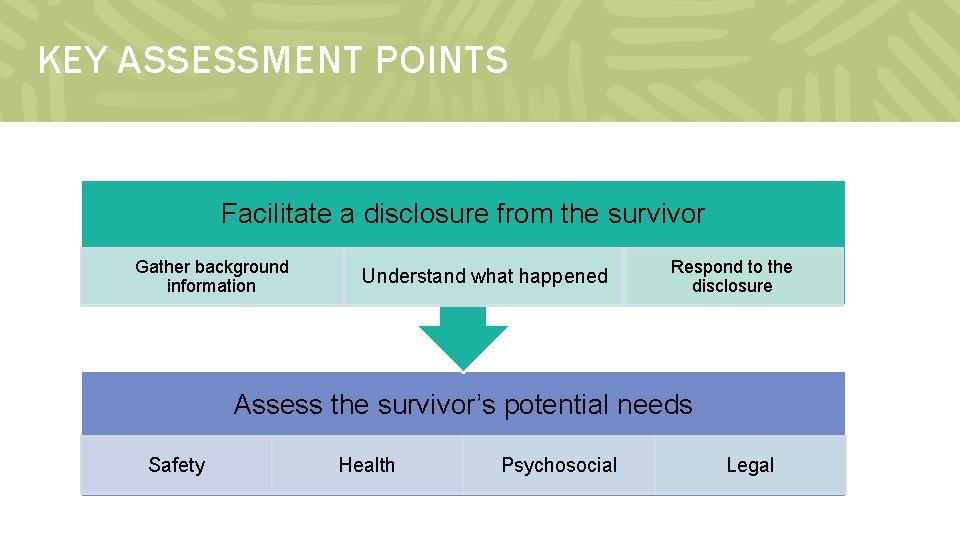 KEY ASSESSMENT POINTS Facilitate a disclosure from the survivor Gather background information Understand what