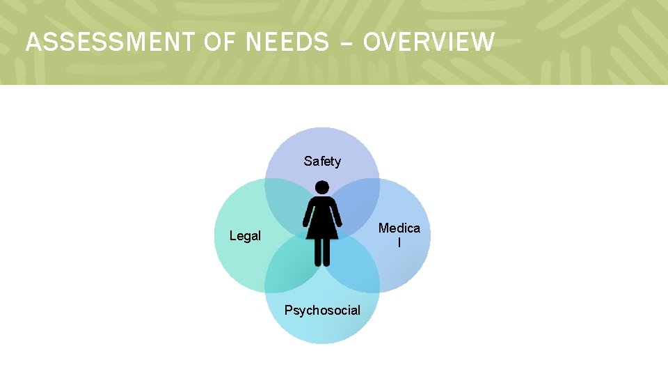 ASSESSMENT OF NEEDS – OVERVIEW Safety Medica l Legal Psychosocial 