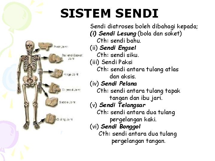 SISTEM SENDI Sendi diatroses boleh dibahagi kepada; (i) Sendi Lesung (bola dan soket) Cth: