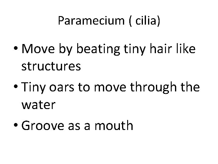 Paramecium ( cilia) • Move by beating tiny hair like structures • Tiny oars