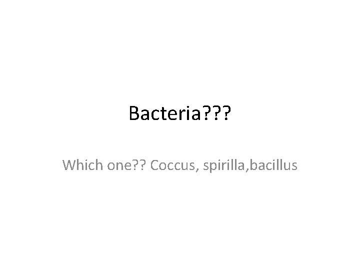 Bacteria? ? ? Which one? ? Coccus, spirilla, bacillus 