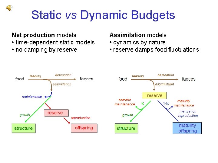 Static vs Dynamic Budgets Net production models • time-dependent static models • no damping