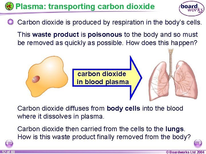 Plasma: transporting carbon dioxide Carbon dioxide is produced by respiration in the body’s cells.