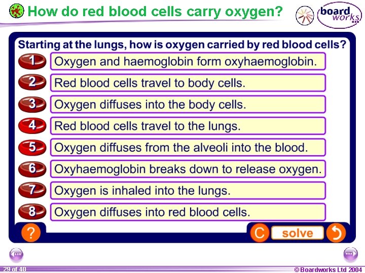 How do red blood cells carry oxygen? 29 of 40 © Boardworks Ltd 2004