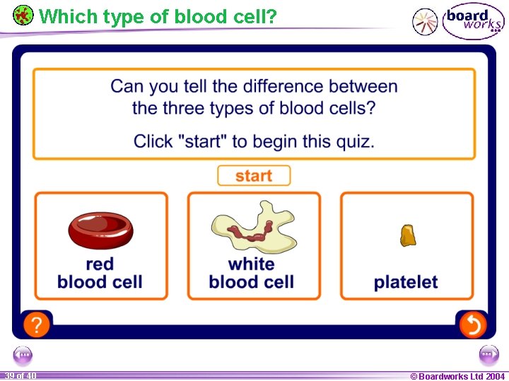 Which type of blood cell? 39 of 40 © Boardworks Ltd 2004 