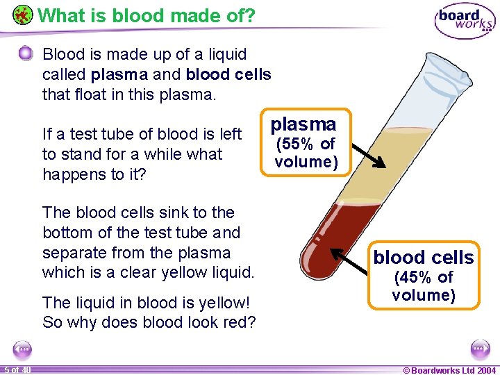 What is blood made of? Blood is made up of a liquid called plasma