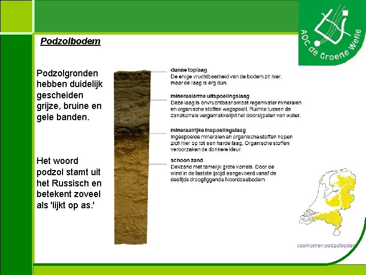 Podzolbodem Podzolgronden hebben duidelijk gescheiden grijze, bruine en gele banden. Het woord podzol stamt
