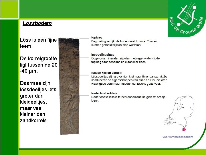 Lossbodem Löss is een fijne leem. De korrelgrootte ligt tussen de 20 -40 µm.