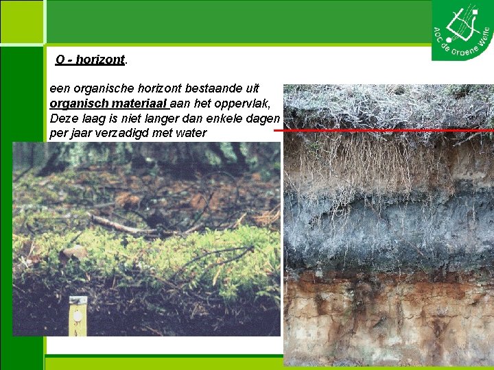 O - horizont. een organische horizont bestaande uit organisch materiaal aan het oppervlak, Deze