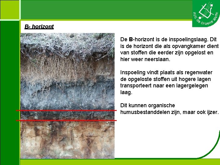 B- horizont De B-horizont is de inspoelingslaag. Dit is de horizont die als opvangkamer