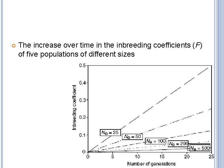  The increase over time in the inbreeding coefficients (F) of five populations of