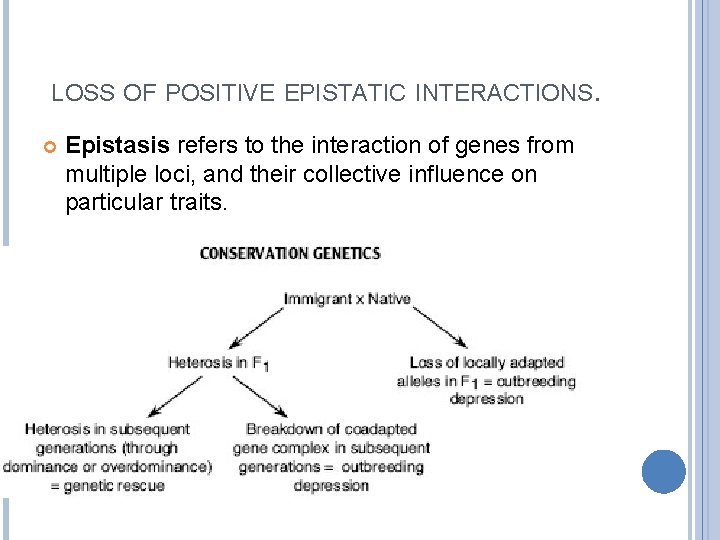 LOSS OF POSITIVE EPISTATIC INTERACTIONS. Epistasis refers to the interaction of genes from multiple