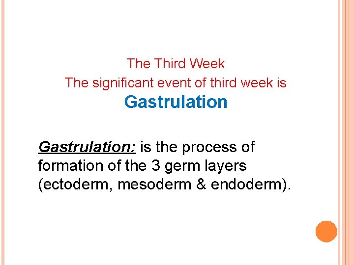 The Third Week The significant event of third week is Gastrulation: is the process