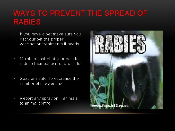 WAYS TO PREVENT THE SPREAD OF RABIES • If you have a pet make